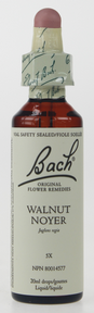 Bach Walnut