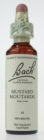 Bach Mustard