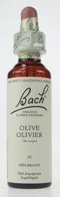 Bach Olive