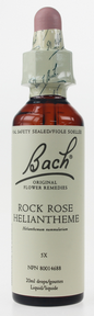 Bach Rock Rose