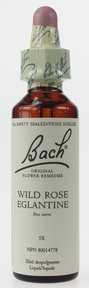 Bach Wild Rose