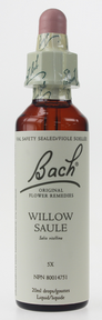 Bach Willow