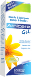 Arnica Gel