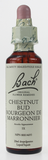 Bach Chestnut Bud