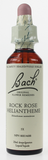 Bach Rock Rose