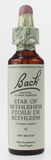 Bach Star of Bethlehem