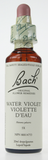 Bach Water Violet
