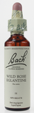 Bach Wild Rose